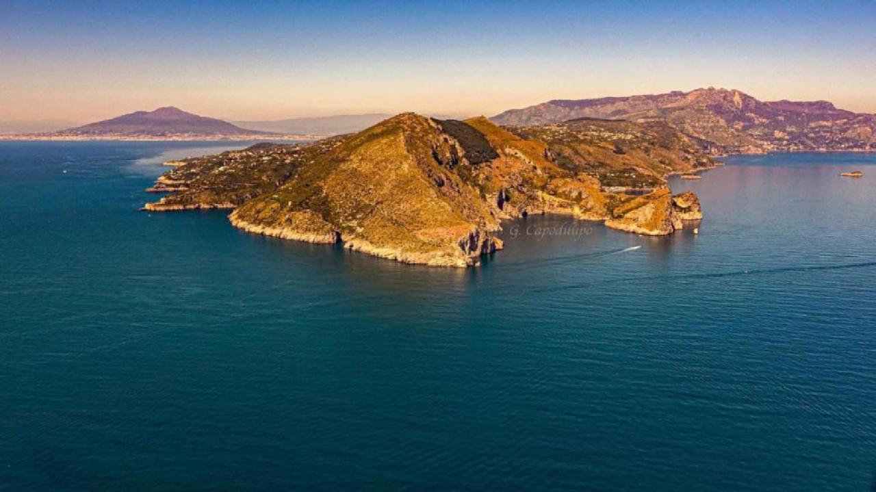 Parco Tasso Guest House سورينتو المظهر الخارجي الصورة